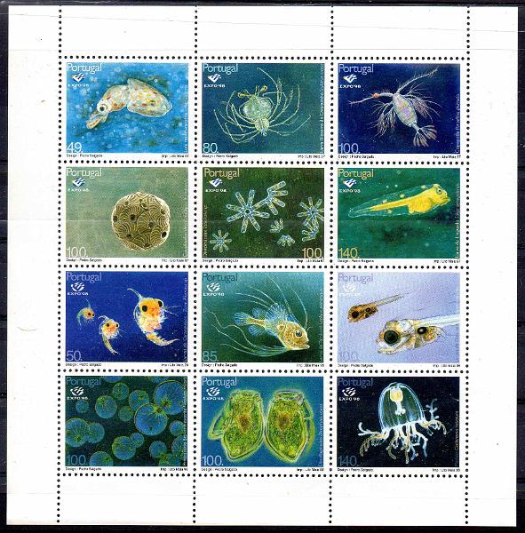 2670.jpg -     Lote:    2670      Lotes pelo Correio      Portugal       Descrição:         1998 &mdash; Expo'98 &mdash; Oceanos Plâncton. CE BLC 193A. Valor de catálogo &euro; 40,00.        BLC***       Valor Base:     &euro; 8,00     Valor Venda:     &euro;      