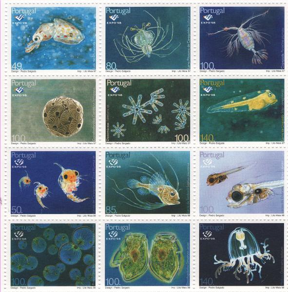 2671.jpg -     Lote:    2671      Lotes pelo Correio      Portugal       Descrição:         1998 &mdash; Expo'98. Oceanos. CE BLC193A. Raro. Valor de catálogo &euro; 40,00.        BLC***       Valor Base:     &euro; 10,00     Valor Venda:     &euro;      