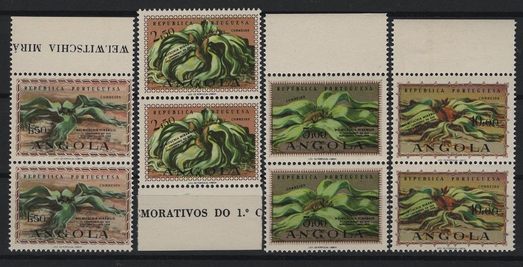 2770.jpg -     Lote:    2770      Lotes pelo Correio      Angola       Descrição:         1959 &mdash; Centenário da Descoberta da Welwitschia Mirábilis. CE 406/409. Série completa em pares verticais, bordo de folha. Valor de catálogo &euro;28,00.        ***       Valor Base:     &euro; 5,00     Valor Venda:     &euro;      