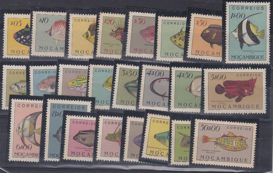 2893.jpg -     Lote:    2893      Lotes pelo Correio      Moçambique       Descrição:         1951 &mdash; Peixes de Moçambique. CE 356/379. Série completa, com selos sem goma ou regomados. Lote a ver.        (*)       Valor Base:     &euro; 12,00     Valor Venda:     &euro;      