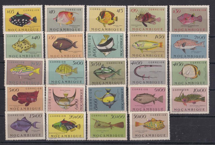 2895.jpg -     Lote:    2895      Lotes pelo Correio      Moçambique       Descrição:         1951 &mdash; Peixes de Moçambique. CE 356/76. Série completa. Os três selos fecho de série sem charneira. Valor de catálogo &euro; 280,00.        ***/**       Valor Base:     &euro; 30,00     Valor Venda:     &euro;      