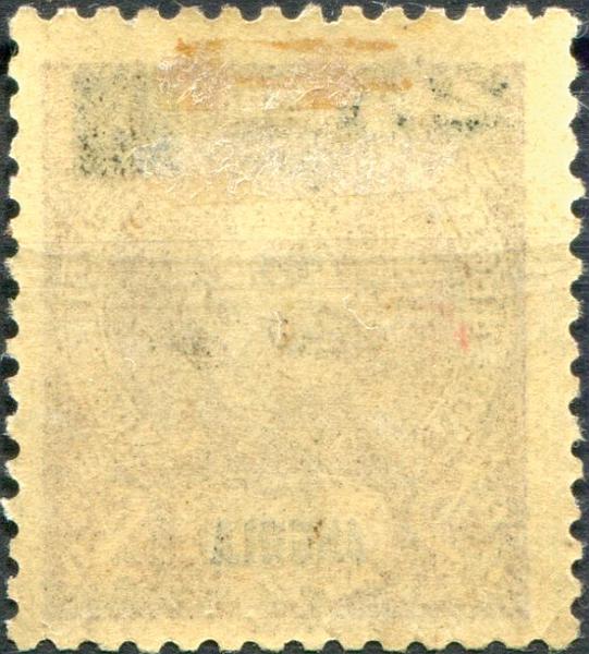 0226V.jpg
