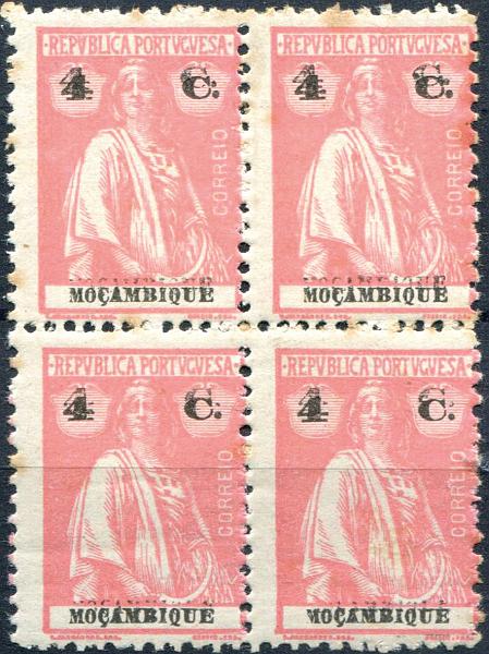 1196.jpg