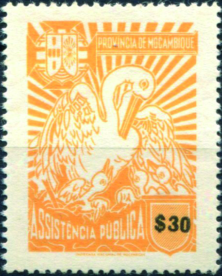 1243F.jpg