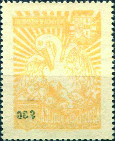 1243V.jpg