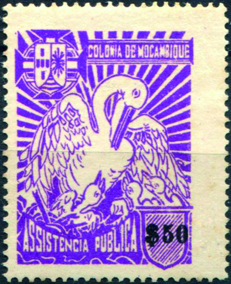 1255.jpg