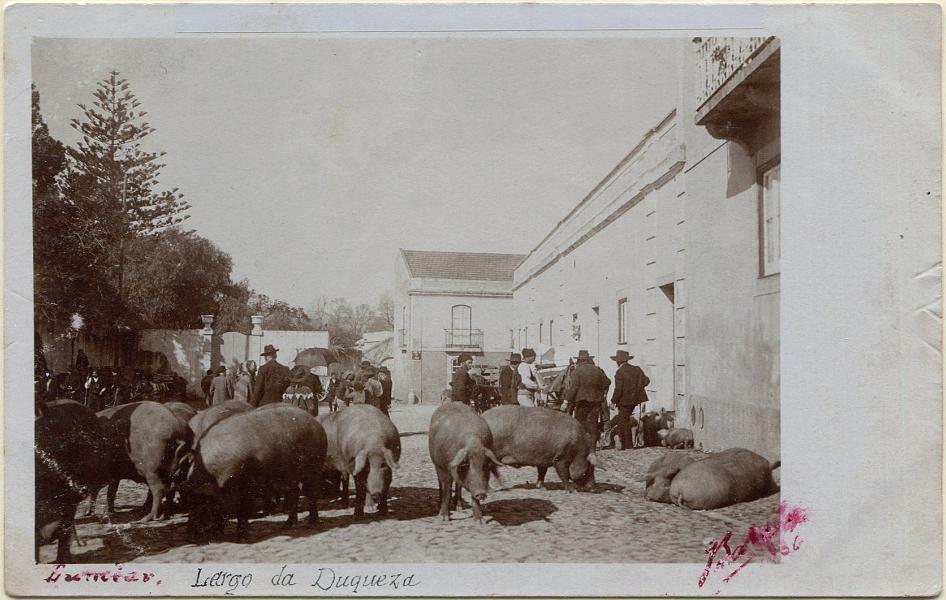 1653.jpg