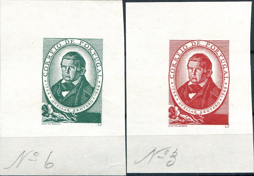 1771.jpg