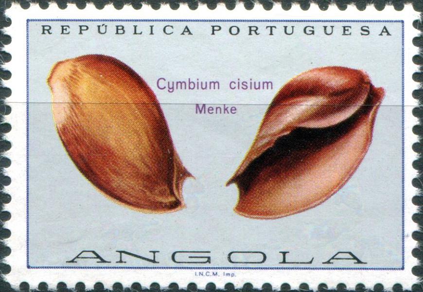 2157.jpg