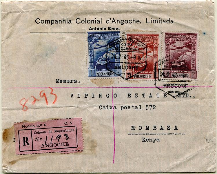 2337.jpg