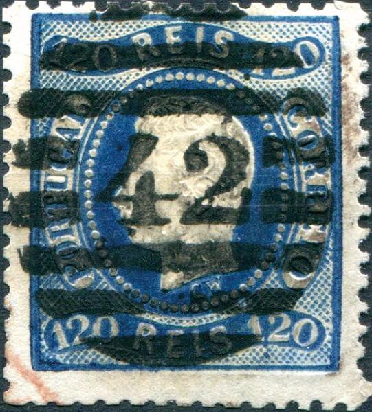2429.jpg