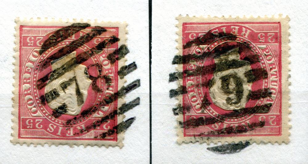 2433.jpg
