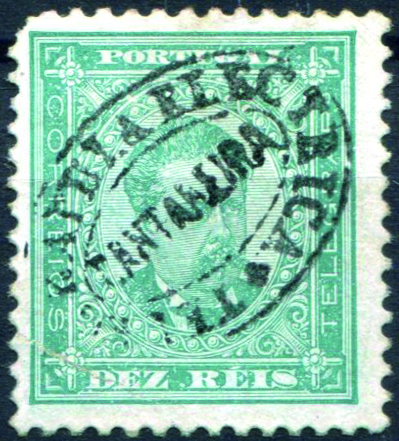 2470.jpg