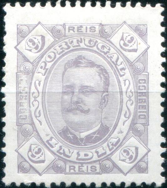 2531.jpg