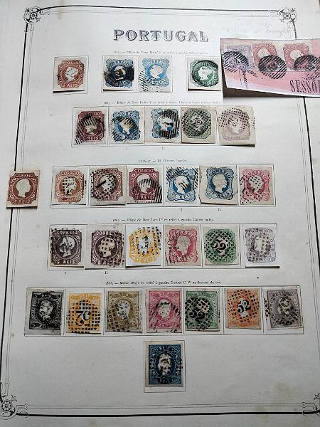 2590A.jpg