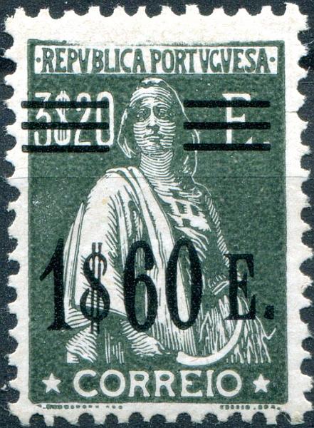 2938.jpg