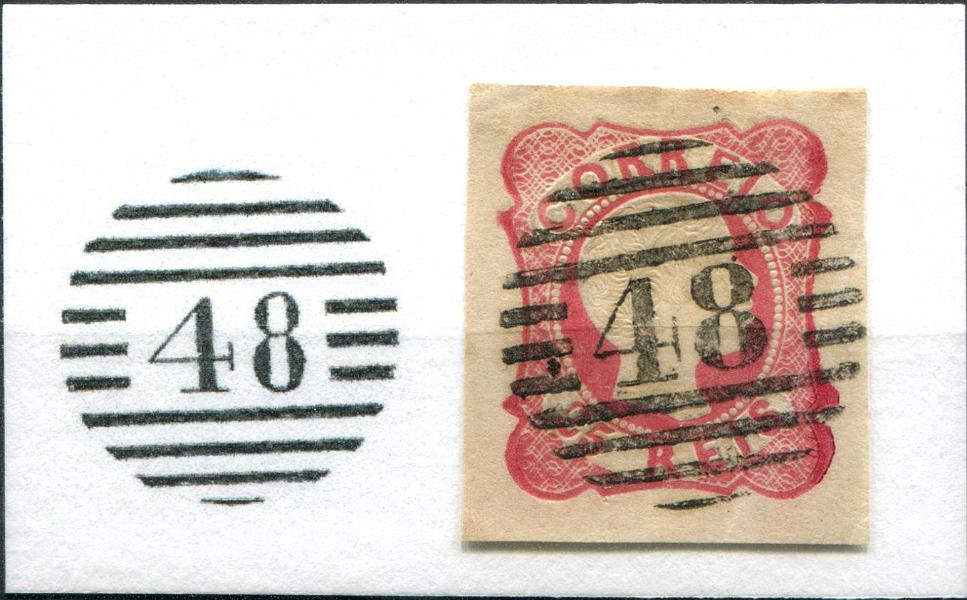 2996.jpg