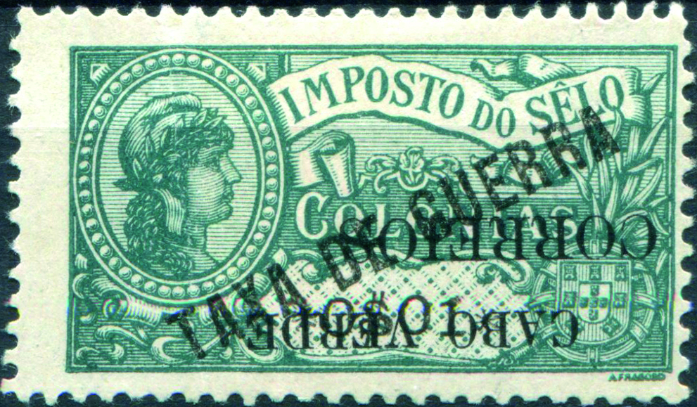 3156.jpg
