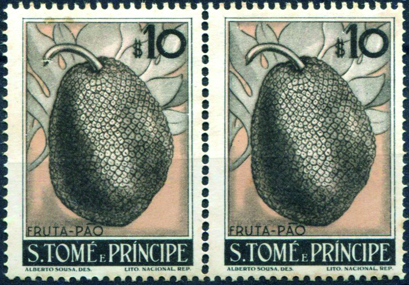 3250.jpg