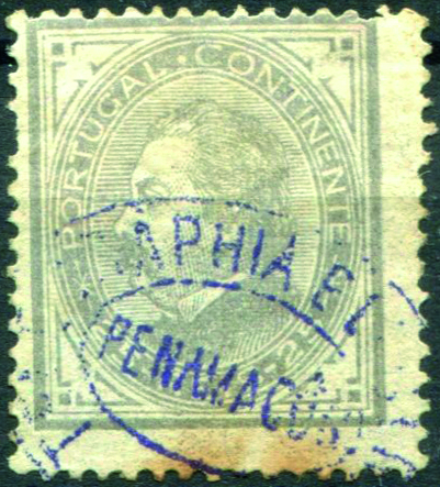 3290.jpg